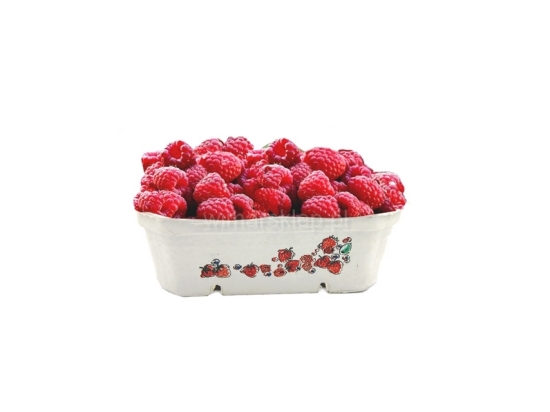Cellulose fruit container, berigard 500g, carton 600pcs