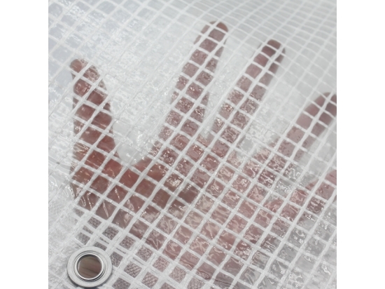 Tarpaulin leno 100g reinforced, transparent 4x6m
