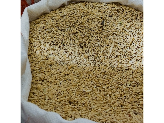 Woven PP bag full 50x80cm - types