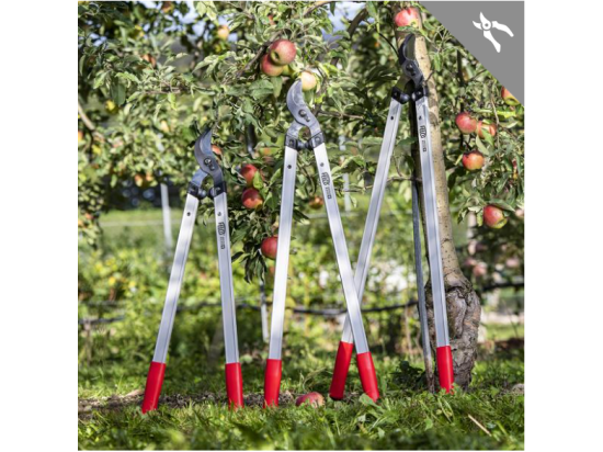 Felco 221 two-handed secateurs - new series
