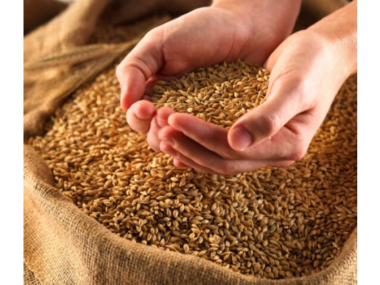 Natural jute bags, various sizes, 10 pcs