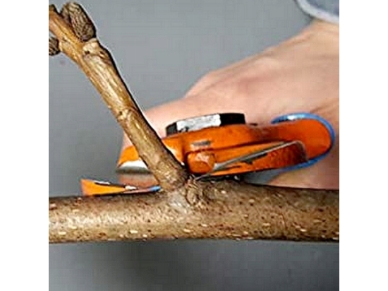 Due Buoi 132/20 double-blade orchard pruner