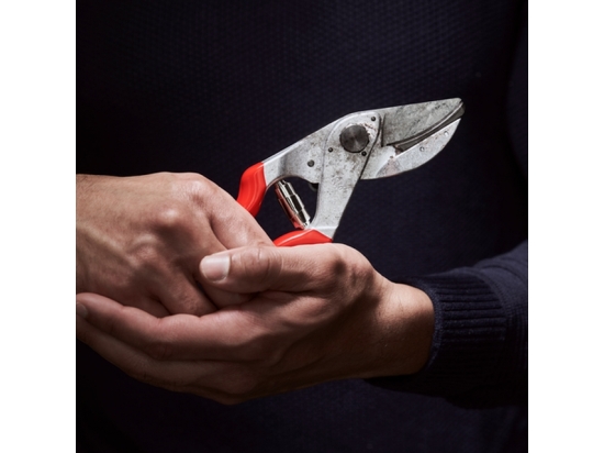 FELCO 32 - Precise Anvil Pruning Shears
