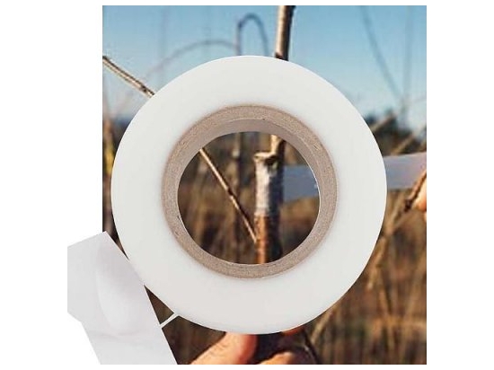 Buddy Tape Grafting and Budding Tape without perforation
