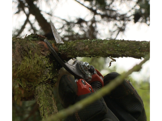 Bahco PXR- M3 - ERGO™ Bypass Secateurs with Elastomer Coated Rotating Handle - size M