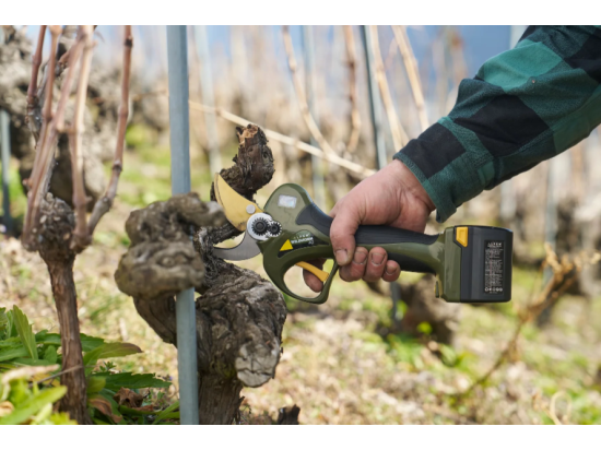 ALPEN WILDHORN 40 - Swiss electric pruner with FELCO blade, cutting up to 40mm