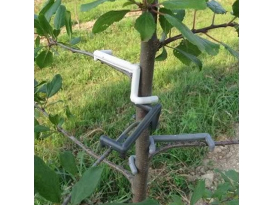 tree crown forming clamps, forming clamp
