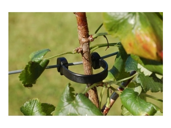 10cm multiclip for tying trees with wire