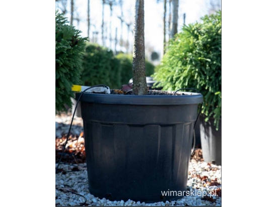 Nursery production pot 15L * 15pcs