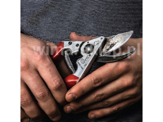 Felco 9 precise and powerful pruning shears for left-handed people