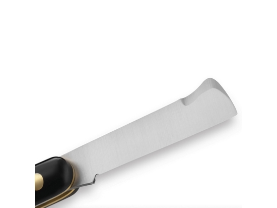 Grafting Knife 202P Due Buoi