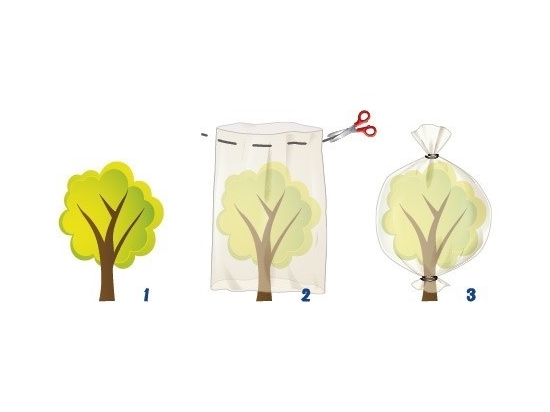 Winter protective hood white tied 60x80cm - set of 3