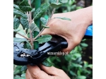 Tapener MAX HT-S45E(BL) strong, blue