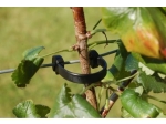10cm multiclip for tying trees with wire