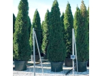 Nursery pot 44cm 35L per piece