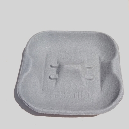 Gray pulp extrusion 4 fruits apples tomatoes