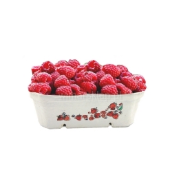 Cellulose fruit container, berigard 500g, carton 600pcs